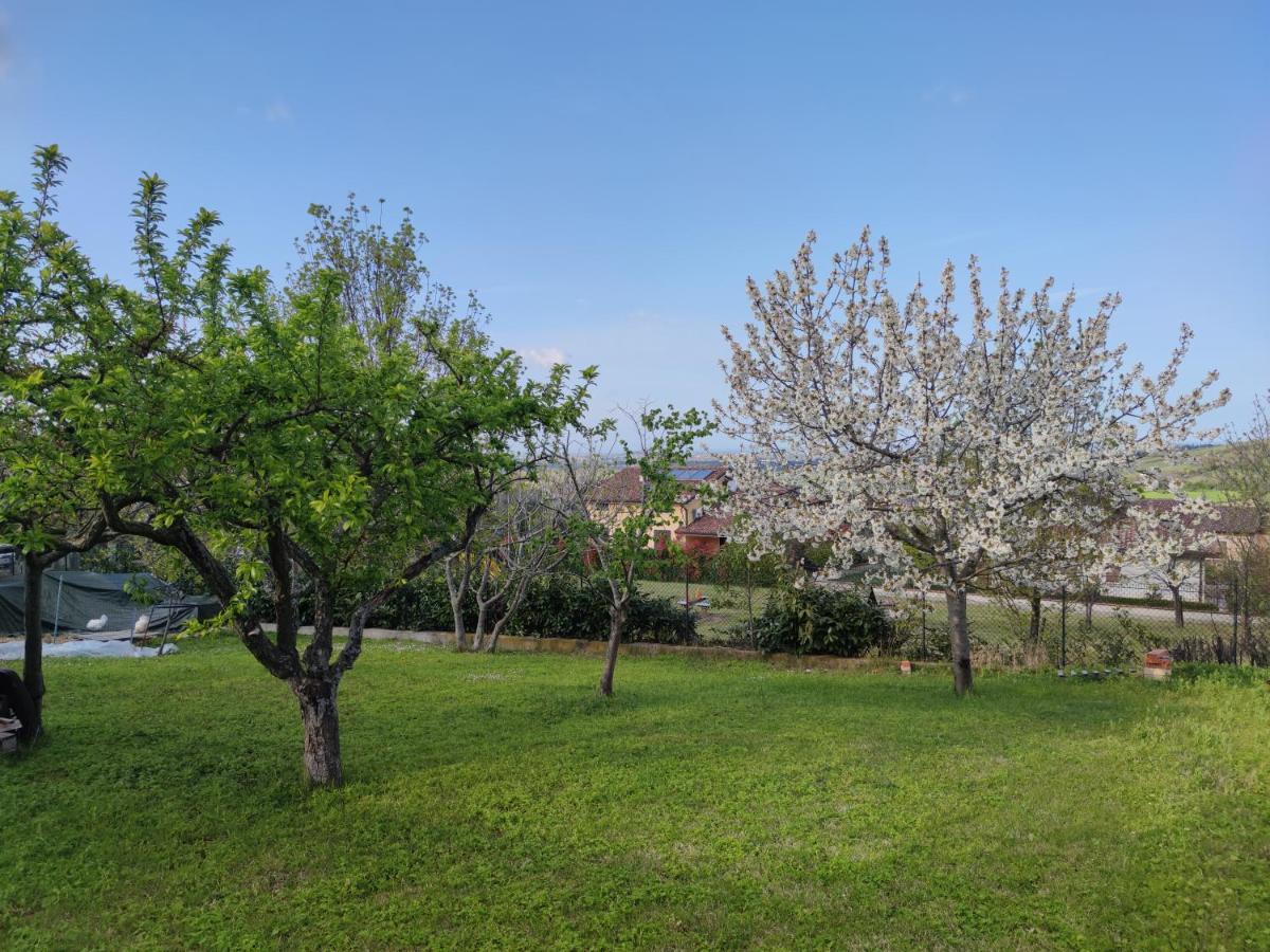 شقة Relax In Collina A Due Passi Dal Mare Torriana المظهر الخارجي الصورة