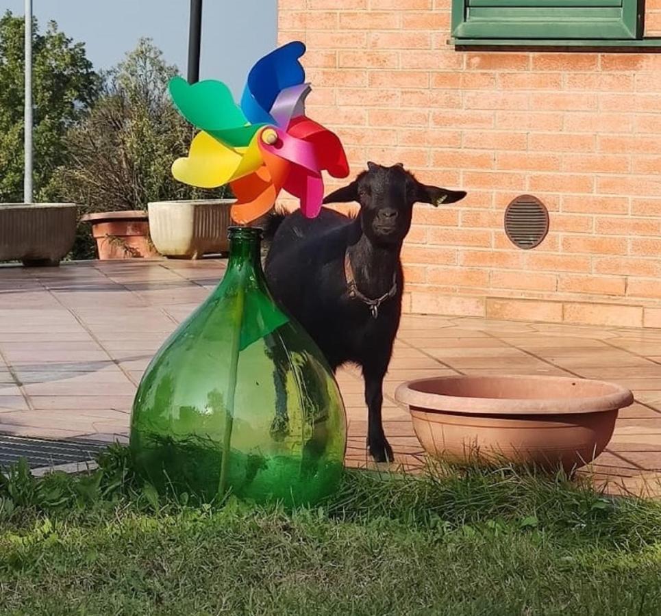 شقة Relax In Collina A Due Passi Dal Mare Torriana المظهر الخارجي الصورة